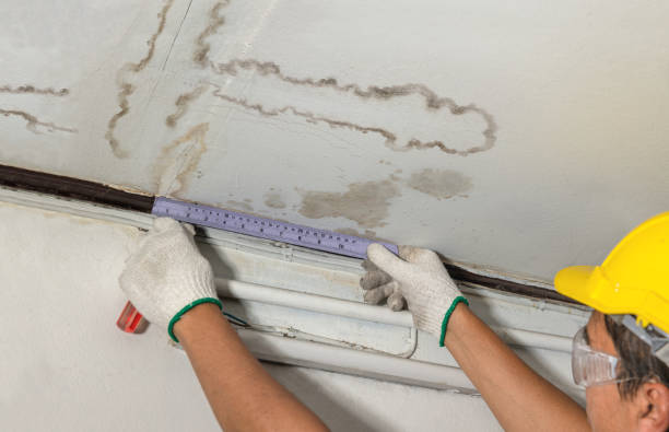 Reliable Water Damage contractor in Parker, CO by Water Damage Irwin